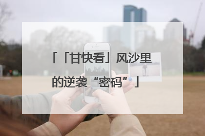 「甘快看」风沙里的逆袭“密码”