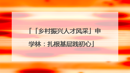 「乡村振兴人才风采」申学林：扎根基层践初心