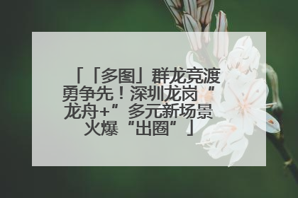 「多图」群龙竞渡勇争先！深圳龙岗“龙舟+”多元新场景火爆“出圈”