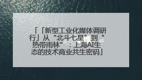 「新型工业化媒体调研行」从“北斗七星”到“热带雨林”：上海AI生态的技术商业共生密码
