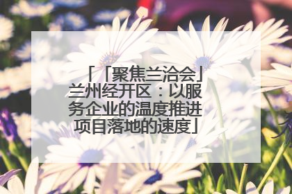 「聚焦兰洽会」兰州经开区：以服务企业的温度推进项目落地的速度