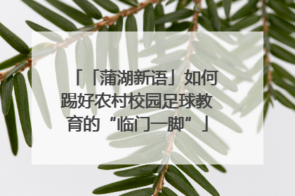 「蒲湖新语」如何踢好农村校园足球教育的“临门一脚”