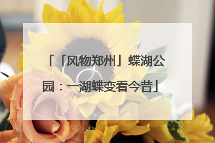 「风物郑州」蝶湖公园：一湖蝶变看今昔