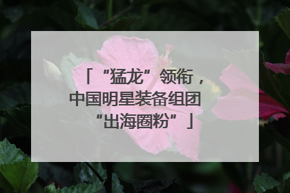 “猛龙”领衔，中国明星装备组团“出海圈粉”