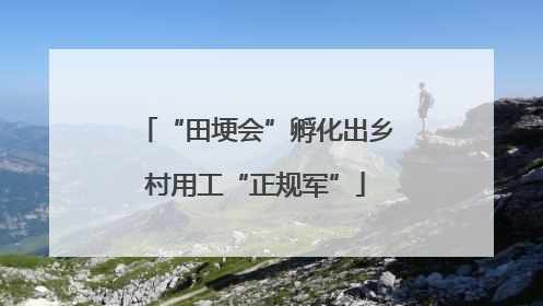 “田埂会”孵化出乡村用工“正规军”