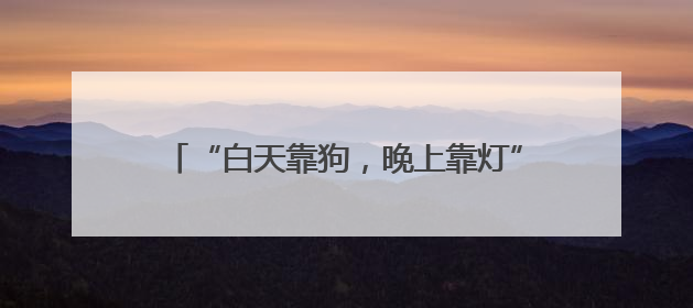 “白天靠狗，晚上靠灯”！菌子近期疯长！别乱捡