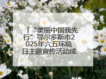 “美丽中国我先行”鄂尔多斯市2025年六五环境日主题宣传活动成功举办