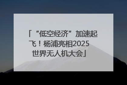 “低空经济”加速起飞！杨浦亮相2025世界无人机大会