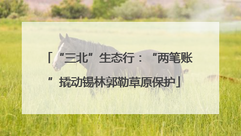 “三北”生态行：“两笔账”撬动锡林郭勒草原保护