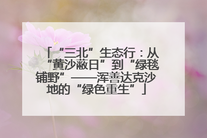 “三北”生态行：从“黄沙蔽日”到“绿毯铺野”——浑善达克沙地的“绿色重生”