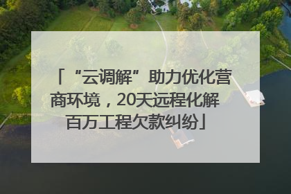 “云调解”助力优化营商环境，20天远程化解百万工程欠款纠纷