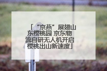“京燕”展翅山东樱桃园 京东物流自研无人机开启樱桃出山新速度