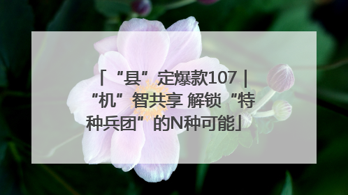 “县”定爆款107｜“机”智共享 解锁“特种兵团”的N种可能