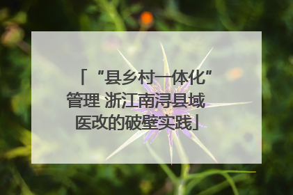“县乡村一体化”管理 浙江南浔县域医改的破壁实践