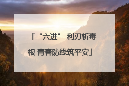 “六进” 利刃斩毒根 青春防线筑平安