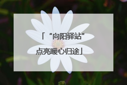 “向阳驿站”点亮暖心归途