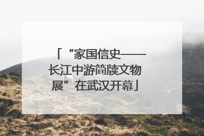 “家国信史——长江中游简牍文物展”在武汉开幕