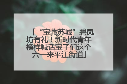 “宝藏苏城”碧凤坊有礼！新时代青年榜样喊话宝子们这个六一来平江街道