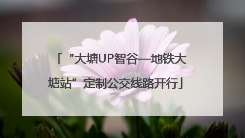 “大塘UP智谷—地铁大塘站”定制公交线路开行