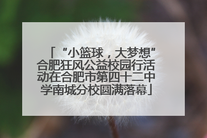 “小篮球，大梦想”合肥狂风公益校园行活动在合肥市第四十二中学南城分校圆满落幕