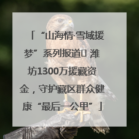“山海情·雪域援梦”系列报道⑪ 潍坊1300万援藏资金，守护藏区群众健康“最后一公里”