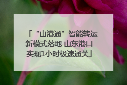 “山港通”智能转运新模式落地 山东港口实现1小时极速通关