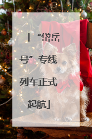 “岱岳号”专线列车正式起航