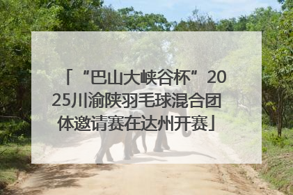 “巴山大峡谷杯”2025川渝陕羽毛球混合团体邀请赛在达州开赛