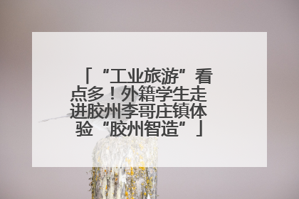 “工业旅游”看点多！外籍学生走进胶州李哥庄镇体验“胶州智造”