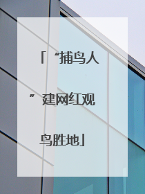 “捕鸟人”建网红观鸟胜地