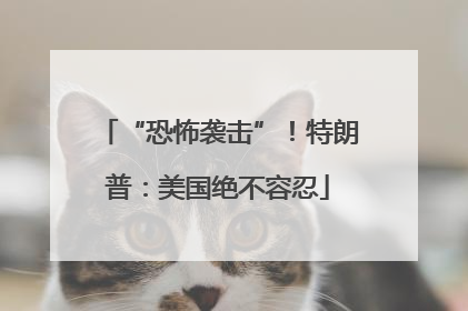 “恐怖袭击”！特朗普：美国绝不容忍