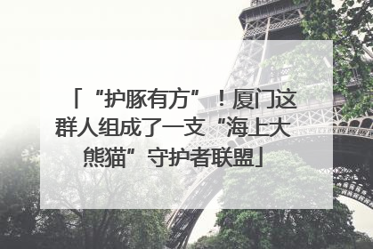 “护豚有方”！厦门这群人组成了一支“海上大熊猫”守护者联盟