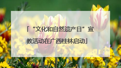 “文化和自然遗产日”宣教活动在广西桂林启动