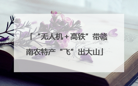 “无人机＋高铁”带赣南农特产“飞”出大山