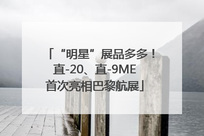“明星”展品多多！直-20、直-9ME首次亮相巴黎航展