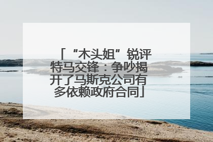 “木头姐”锐评特马交锋：争吵揭开了马斯克公司有多依赖政府合同