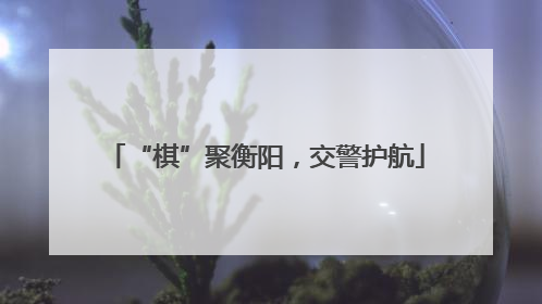 “棋”聚衡阳，交警护航