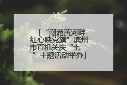 “潮涌黄河畔 红心映党旗”滨州市直机关庆“七一”主题活动举办
