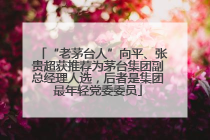 “老茅台人”向平、张贵超获推荐为茅台集团副总经理人选，后者是集团最年轻党委委员