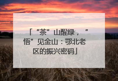 “茶”山醒绿，“悟”见金山：鄂北老区的振兴密码