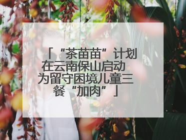 “茶苗苗”计划在云南保山启动 为留守困境儿童三餐“加肉”