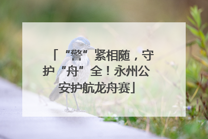 “警”紧相随，守护“舟”全！永州公安护航龙舟赛