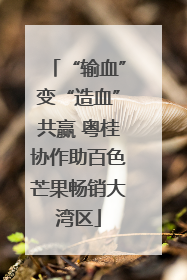 “输血”变“造血”共赢 粤桂协作助百色芒果畅销大湾区