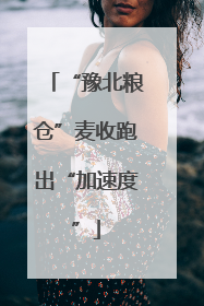 “豫北粮仓”麦收跑出“加速度”