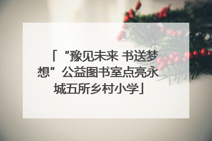 “豫见未来 书送梦想”公益图书室点亮永城五所乡村小学
