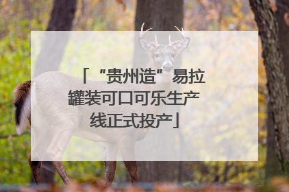 “贵州造”易拉罐装可口可乐生产线正式投产