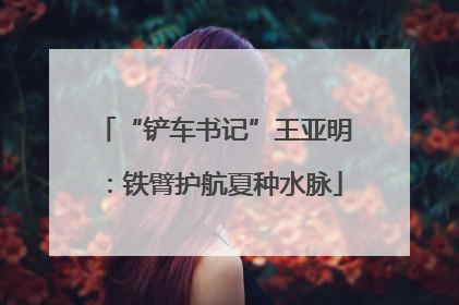 “铲车书记”王亚明：铁臂护航夏种水脉
