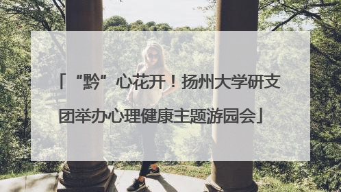“黔”心花开！扬州大学研支团举办心理健康主题游园会