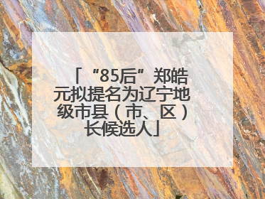 “85后”郑皓元拟提名为辽宁地级市县（市、区）长候选人