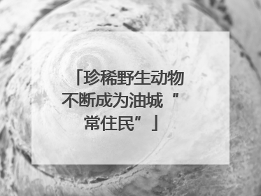 珍稀野生动物不断成为油城“常住民”